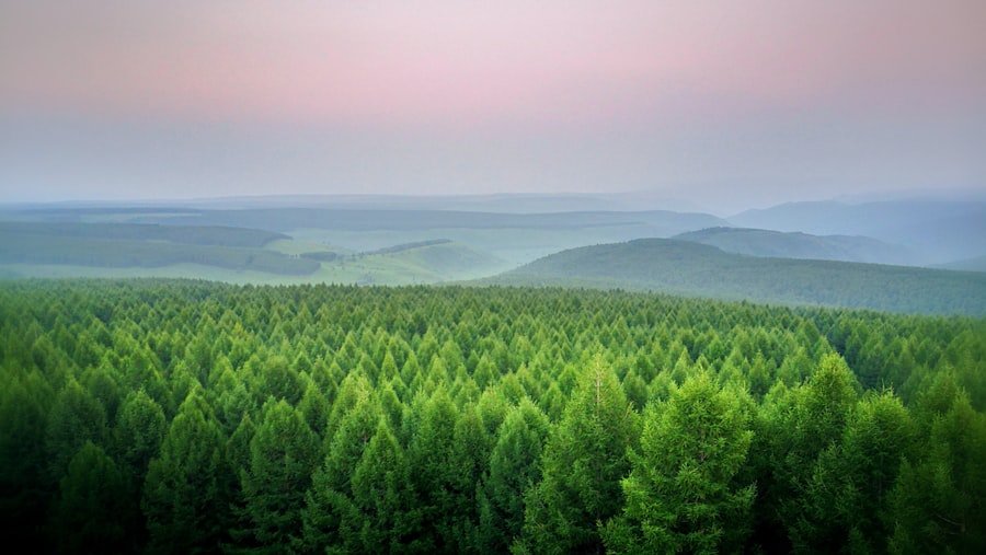 Green forest