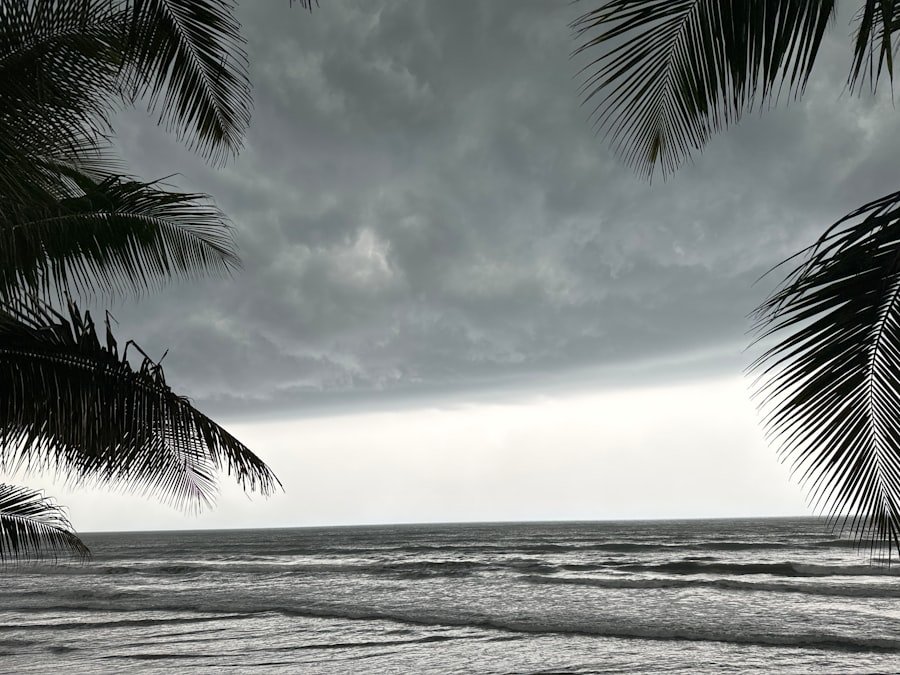 Photo tropical storm fernand forecast