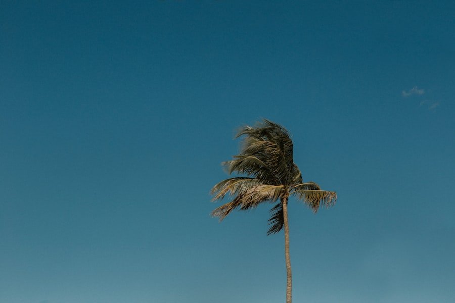Photo hurricane season
