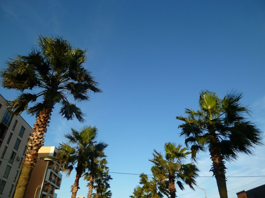 las vegas weather